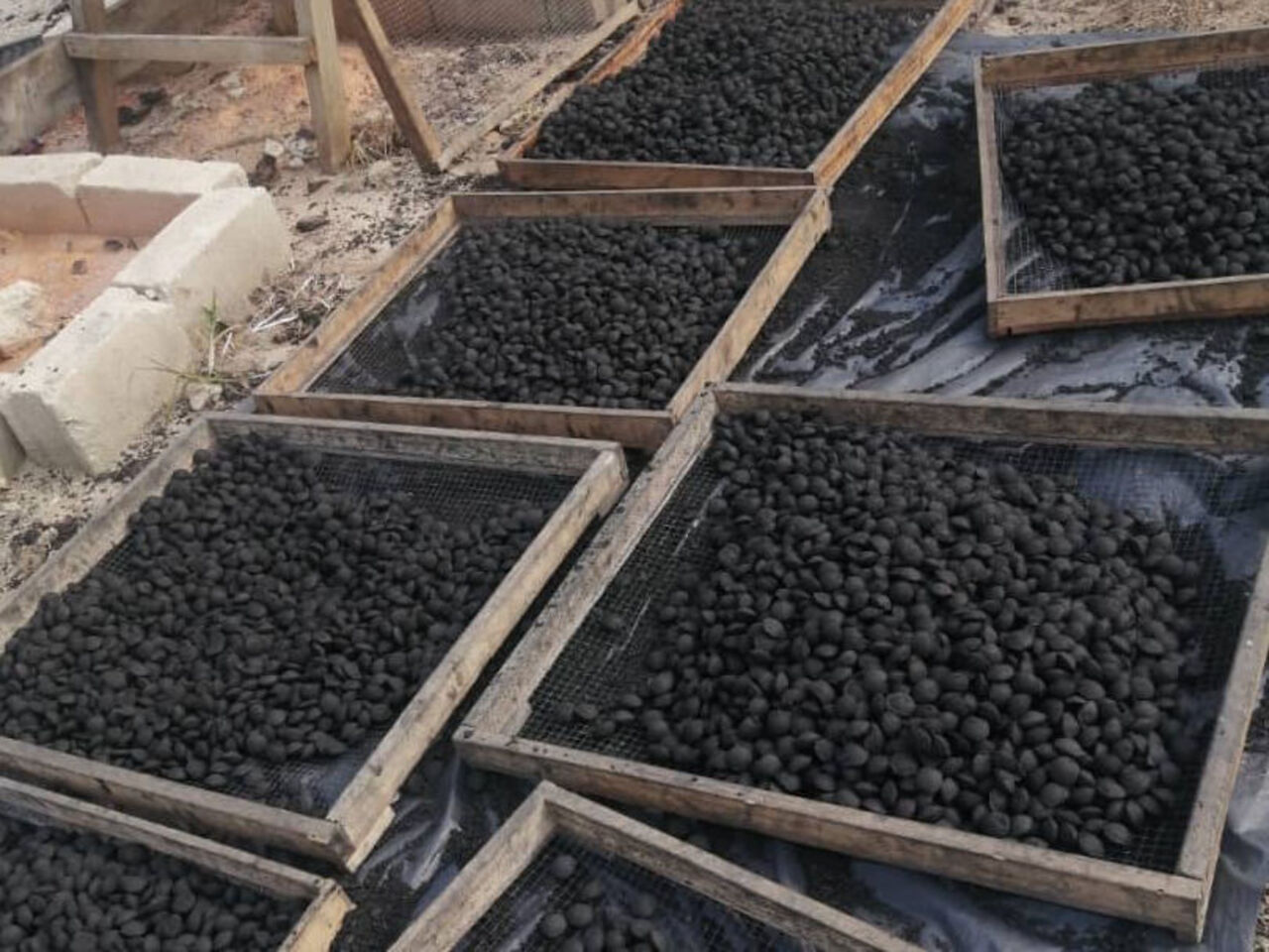  Coconut waste is dried and left to carbonize.
