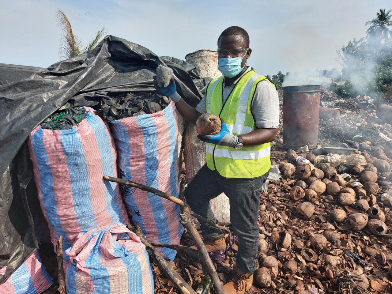  Coconut waste is collected and transfered to an isolated location.
